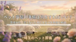 ペット葬儀の準備は何をすればいい？葬儀当日に慌てないためにするべき準備を解説