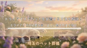 ペット葬儀までドライアイスで安置する方法を解説！ドライアイスの必要な量・正しい置き方まで紹介