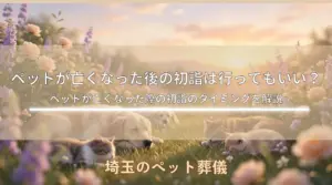 ペットが亡くなった後の初詣は行ってもいい？ペットが亡くなった際の初詣のタイミングを解説